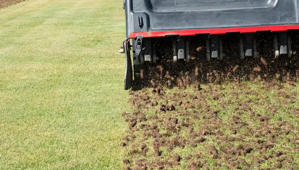 Core aeration on commercial turf