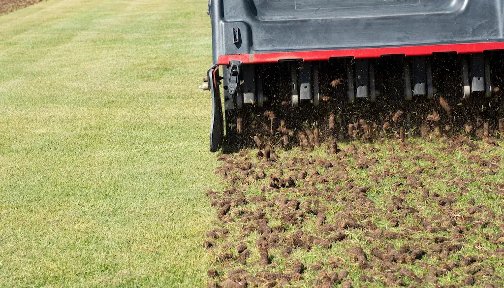 Aeration & Overseeding