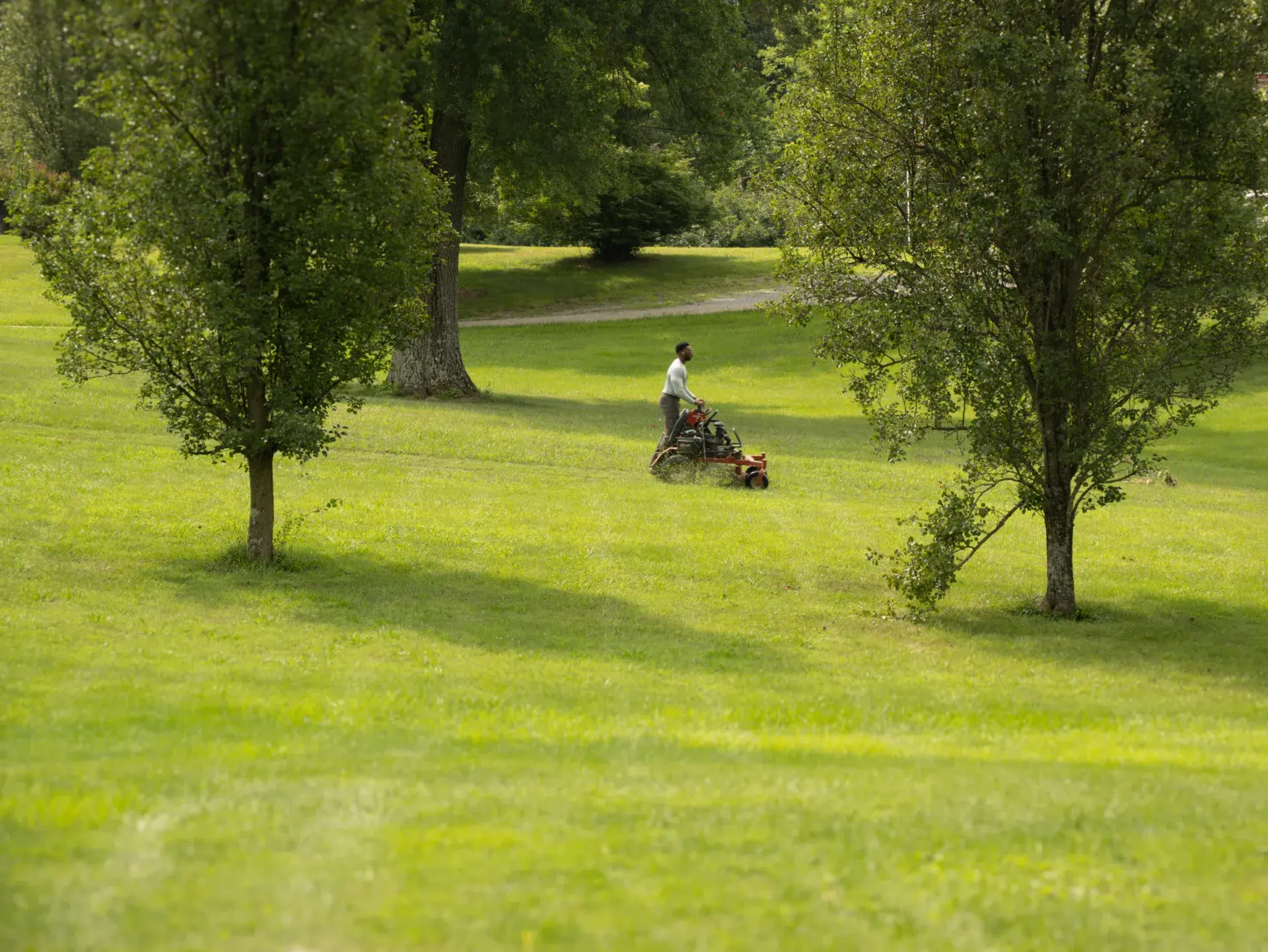 Commercial lawn care in Edgewood, KY