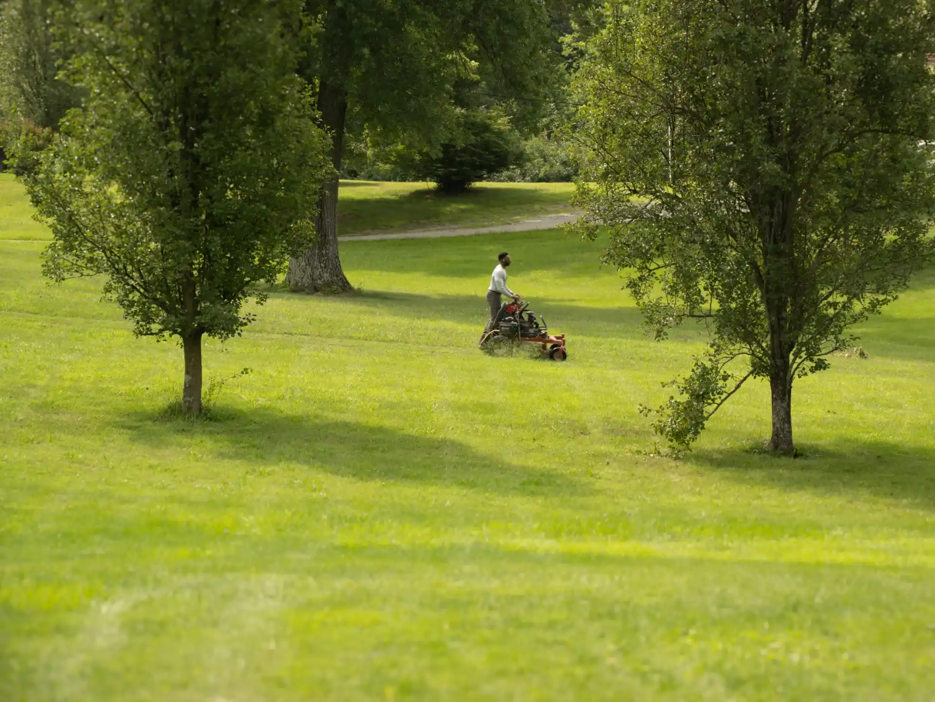 Commercial lawn maintenance across a multi-property portfolio