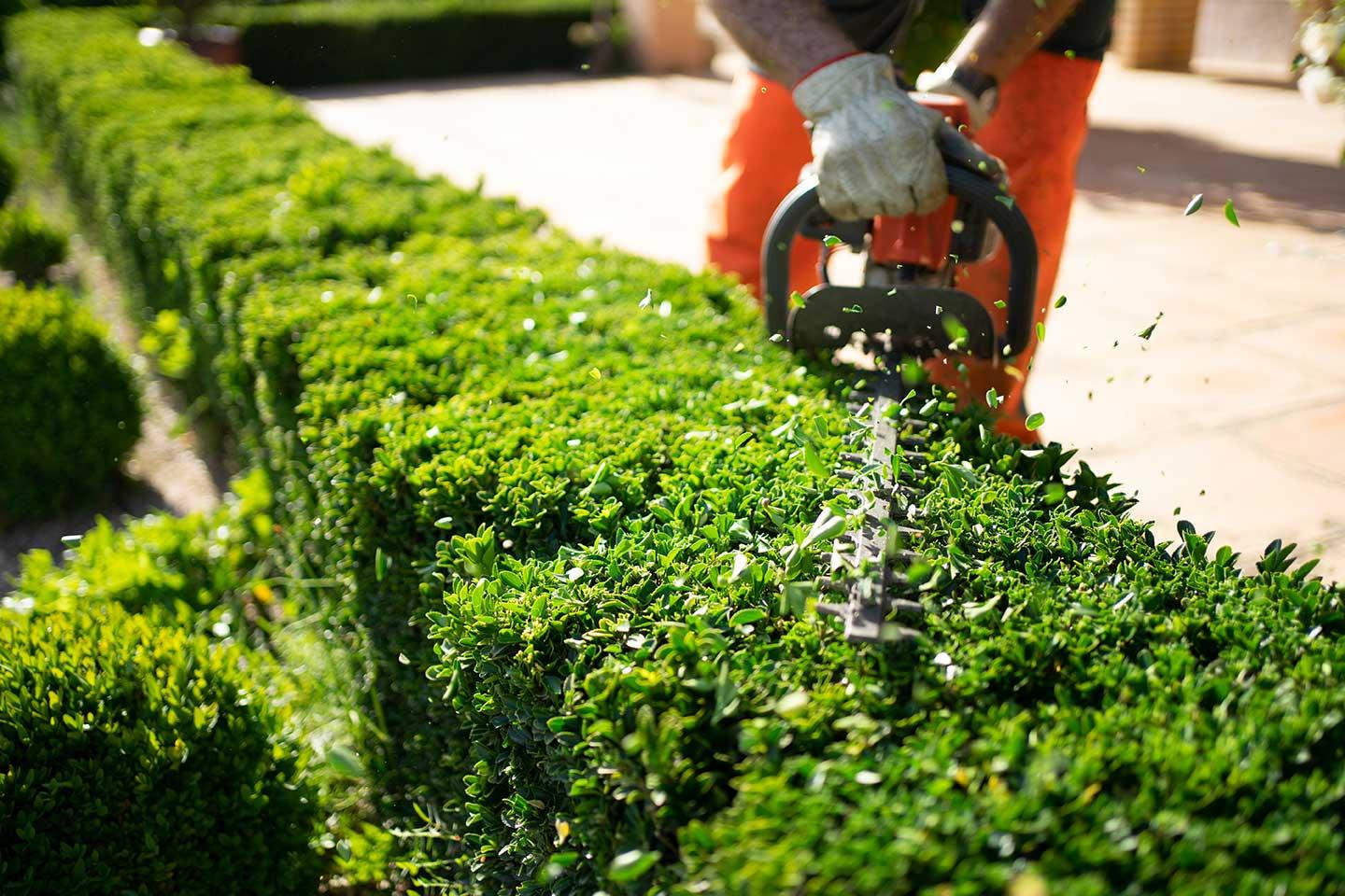 Trimming & Edging